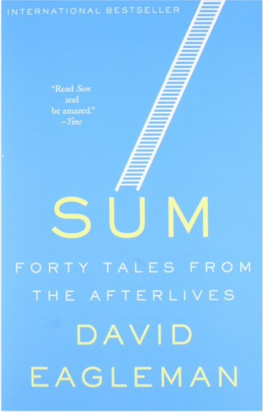The cover of Sum: Forty Tales From the Afterlives