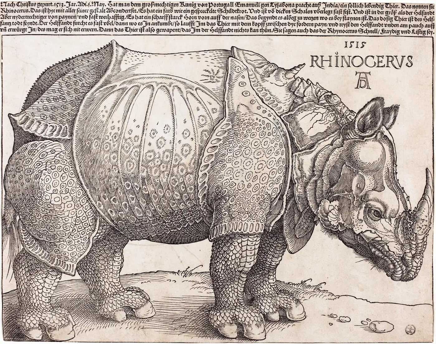 Durer's 